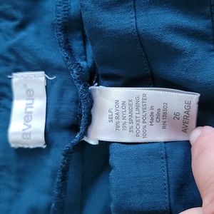 Avenue teal green pants pull on